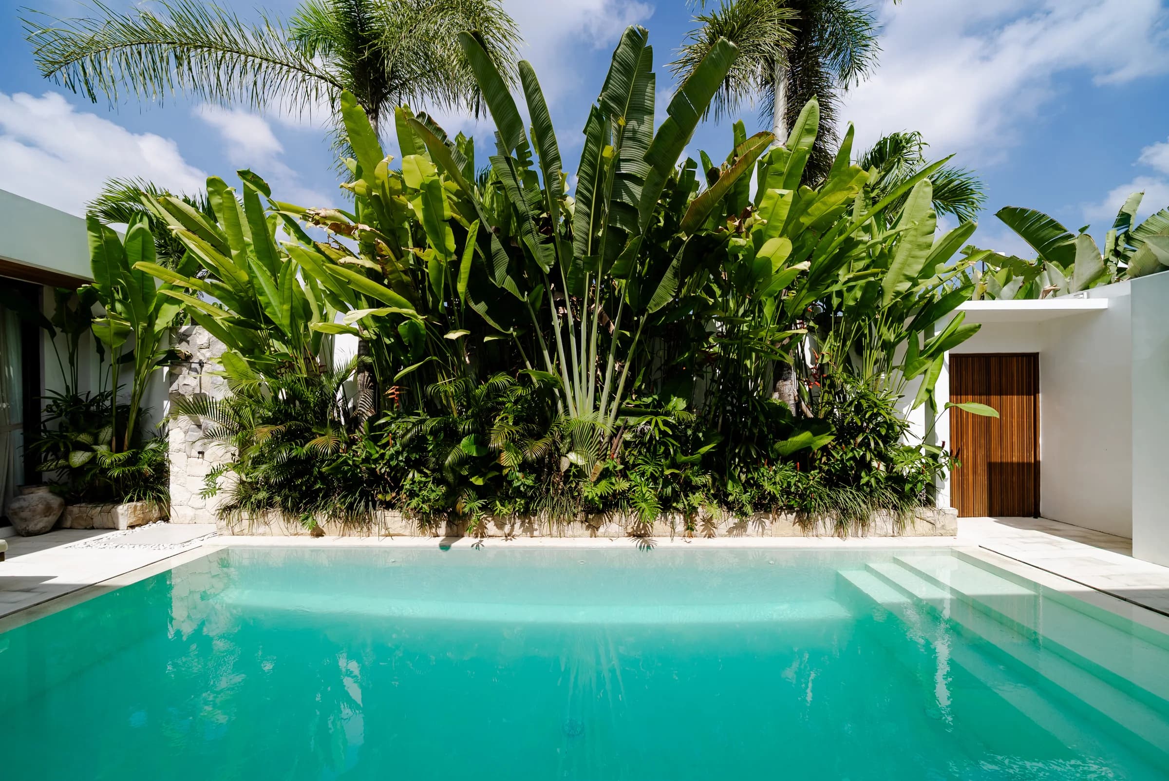 The pool at Casa Petak, a finished Balitecture villa, in front of a wall of tropical planting