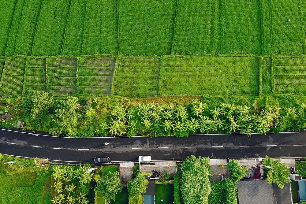 Premium land for sale in Bali - sourced by Balitecture across top investment areas
