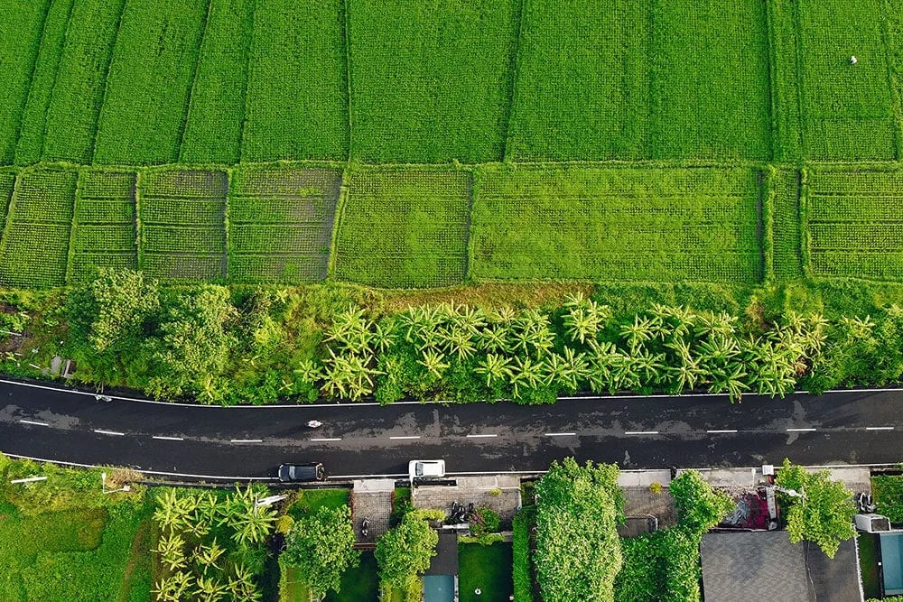 Land Sourcing