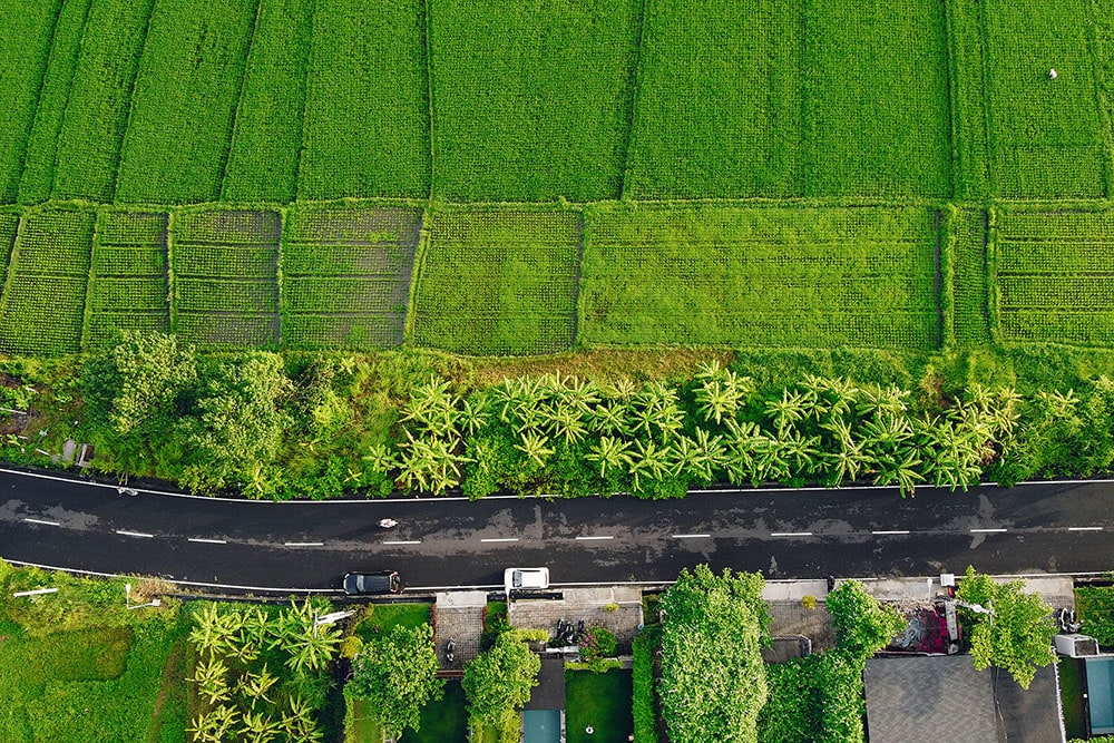 Bali Land For Sale - Balitecture